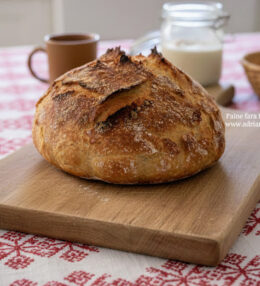 Paine fara framantare