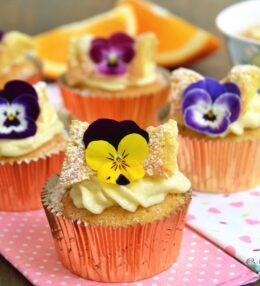 Cupcakes cu vanilie si crema fina, cu decor fluturas